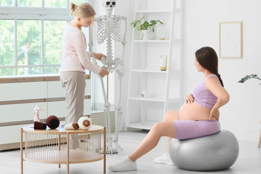 Pregnant woman receiving physiotherapy advice for pelvic girdle pain pregnancy and learning about a pregnancy support belt