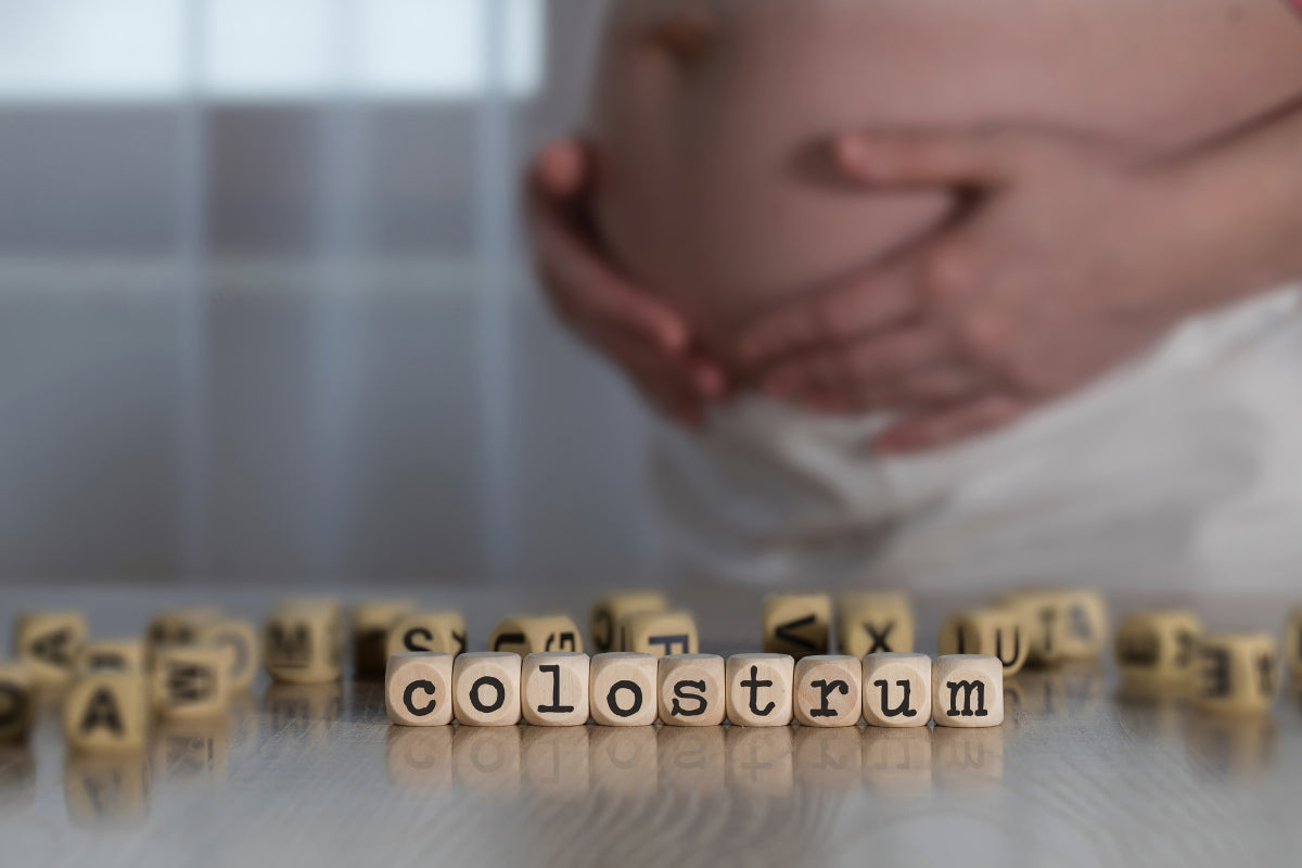 Colostrum Harvesting: What It Is, When to Start, and How to Do It Safely