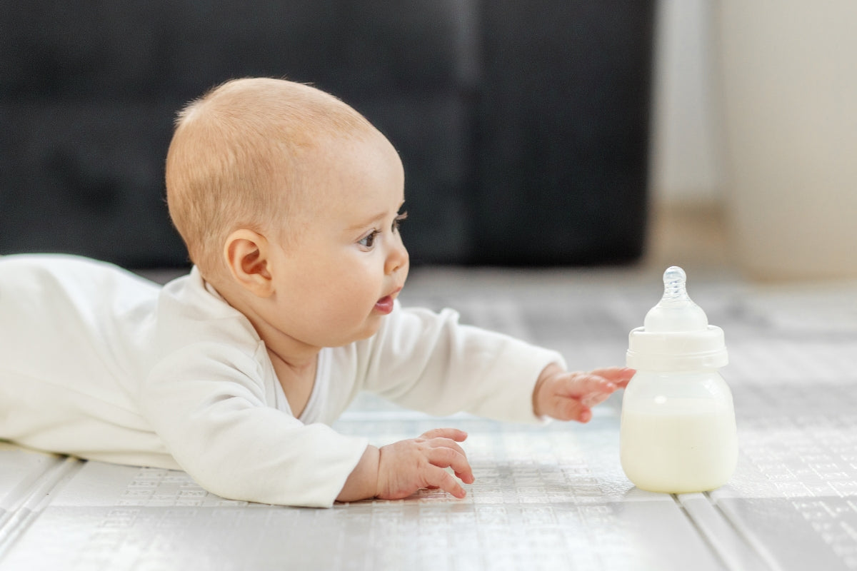 Baby lying on its front reaching towards a milk-filled baby bottle